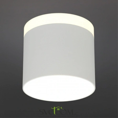 Накладные светильники Omnilux OML-102309-16 от Магазина Svetdom.by