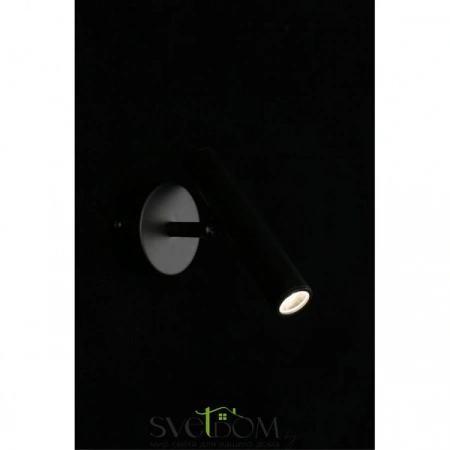 Настенные светильники APL.067.01.03 Aployt | Svetdom.by