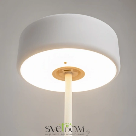 MOD229TL-L3W3K2 Maytoni