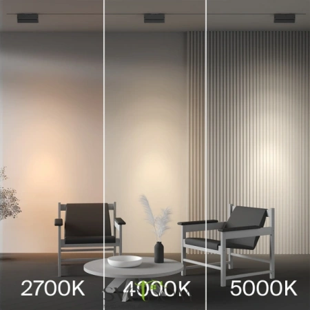 TR223-1-12WCCT-W-B Maytoni