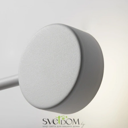 Настенные светильники FR5363WL-01W2 Freya | Svetdom.by