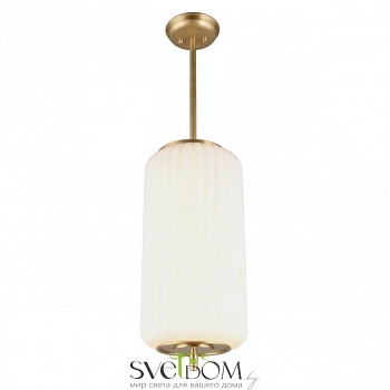 Светильник подвесной Aployt  APL.807.06.06