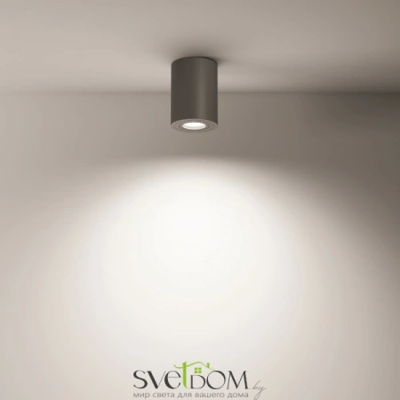 Потолочные светильники Maytoni C016CL-01B от Магазина Svetdom.by