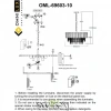 Люстры подвесныеOML-69603-10 Omnilux | Svetdom.by