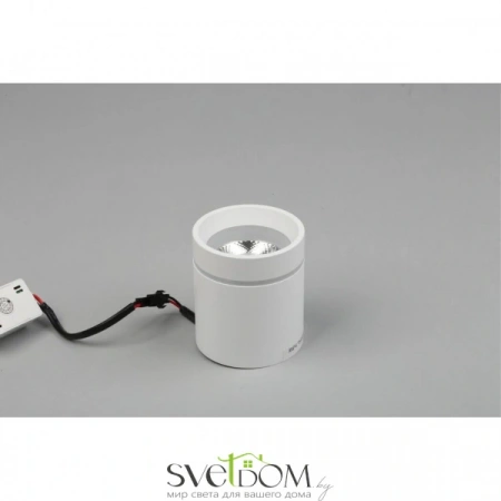 Накладные светильники Aployt APL.0044.09.05 от Магазина Svetdom.by