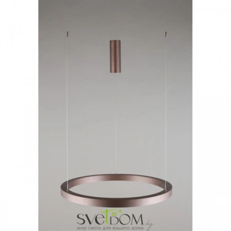 Люстры подвесныеAPL.025.03.48 Aployt | Svetdom.by