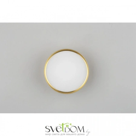 Накладные светильники Omnilux OML-103329-12 от Магазина Svetdom.by