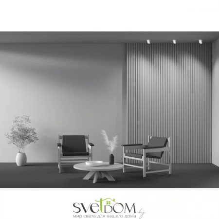 Встраиваемые светильники Maytoni DL044-01-GU10-W от Магазина Svetdom.by