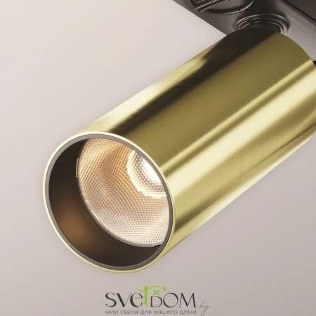 TR021-1-12W3K-W-BBS Maytoni