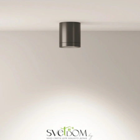 Потолочные светильники Maytoni C086CM-GX53-MRD-B от Магазина Svetdom.by