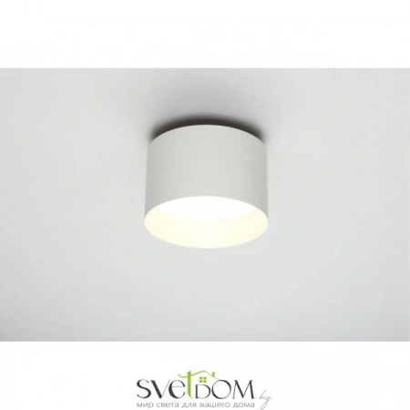 Настенно-потолочные светильники Omnilux OML-100419-16 от Магазина Svetdom.by