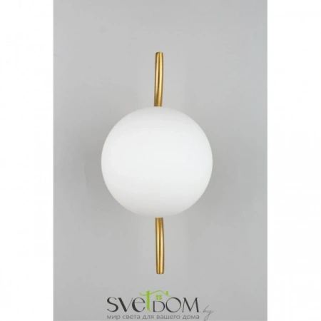 Настенные светильники APL.312.11.01 Aployt | Svetdom.by