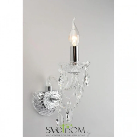 Настенные светильники APL.755.01.01 Aployt | Svetdom.by