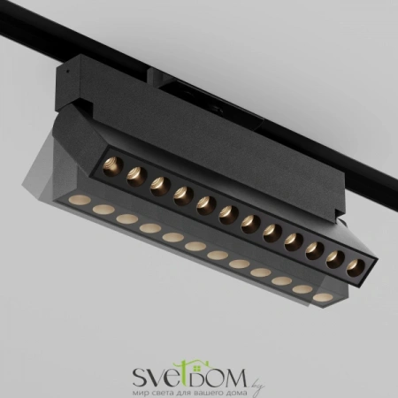 TR224-1-12WCCT-M-B Maytoni