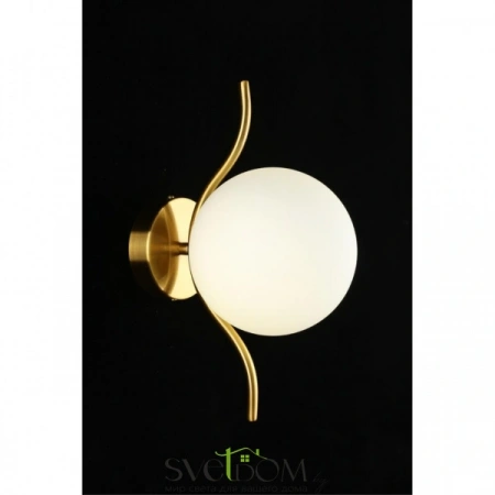 Настенные светильники APL.312.11.01 Aployt | Svetdom.by