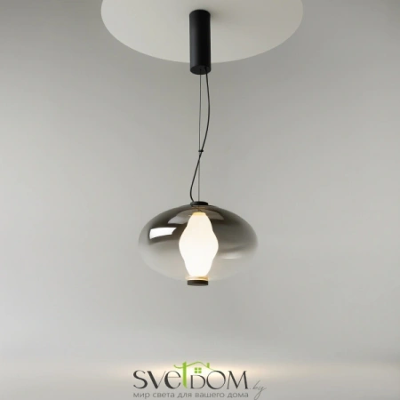 Подвесные светильники Maytoni MOD406PL-L8B3K от Магазина Svetdom.by