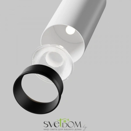 Потолочные светильники Maytoni C055CL-L12W3K-SS-W от Магазина Svetdom.by