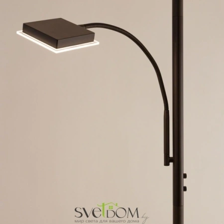 Citilux Харди CL802015 LED Торшер с диммером Кофейный CITILUX