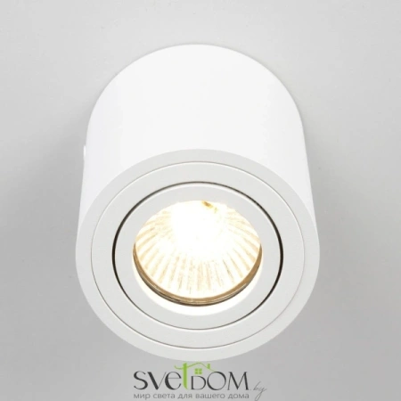 Citilux Дюрен CL538111 Светильник накладной поворотный Белый CITILUX