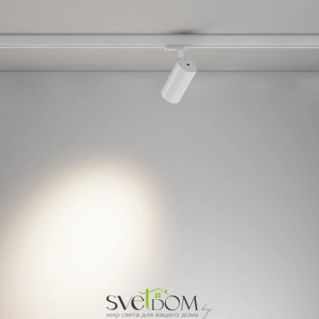 TR197-3-20WCCT-M-W Maytoni