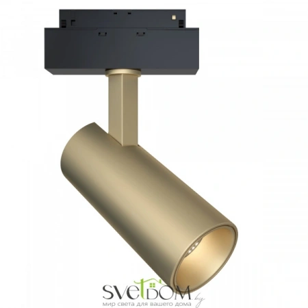 Светильники Maytoni TR019-2-15W3K-MG от Магазина Svetdom.by