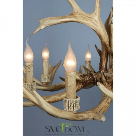 Люстры подвесныеOML-52003-08 Omnilux | Svetdom.by