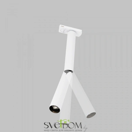 TR142-1-6W3K-W Maytoni