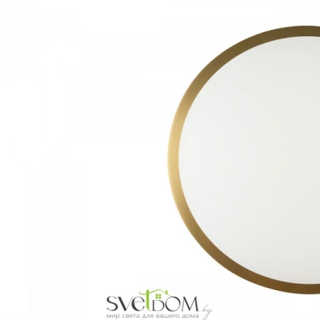 Бра и настенные светильники FR5125WL-01BS Freya | Svetdom.by