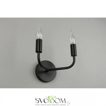 Настенные светильники APL.338.11.02 Aployt | Svetdom.by