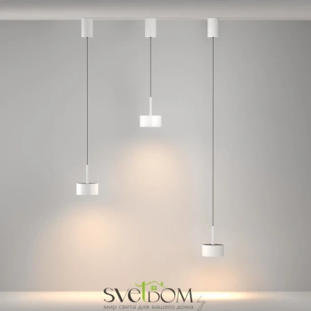 Подвесной светильник Maytoni P102PL-12W3K-W Maytoni