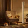 Citilux FANNY CL213921 Торшер светодиодный с пультом CITILUX