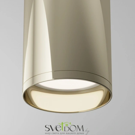 Потолочные светильники Maytoni C010CL-01G от Магазина Svetdom.by