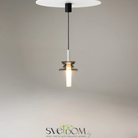 Подвесные светильники Maytoni MOD255PL-01B4 от Магазина Svetdom.by