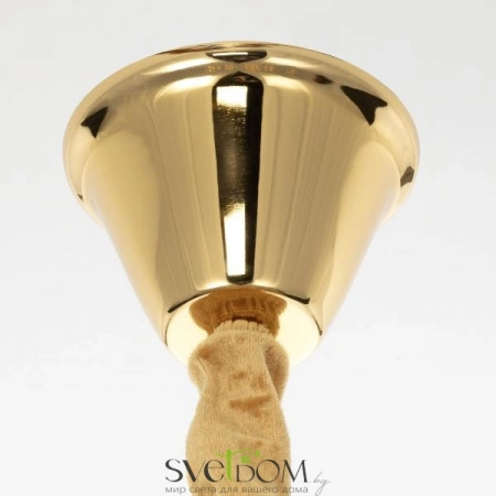 Люстры подвесныеCL310122 CITILUX | Svetdom.by