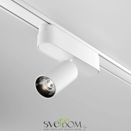 TR103-1-5W4K-M-W Maytoni