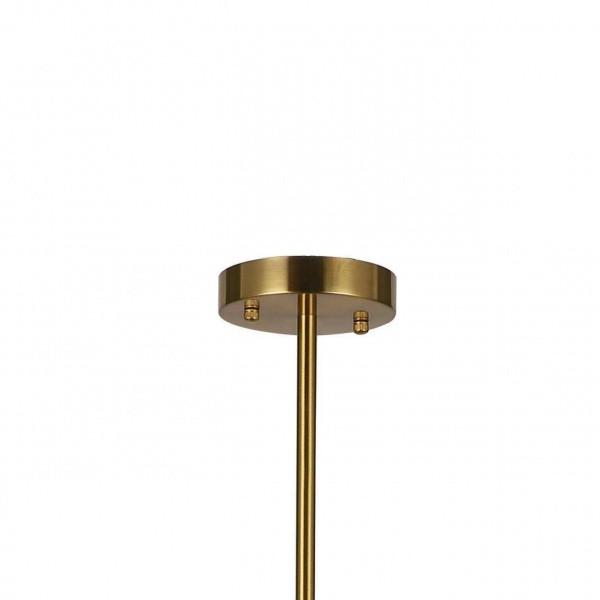 Люстры подвесные2854-6P Favourite | Svetdom.by