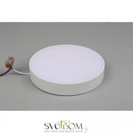 Настенно-потолочные светильники Aployt APL.0114.09.24 от Магазина Svetdom.by