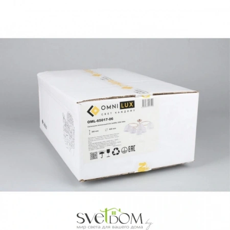 Люстры потолочныеOML-65017-06 Omnilux | Svetdom.by
