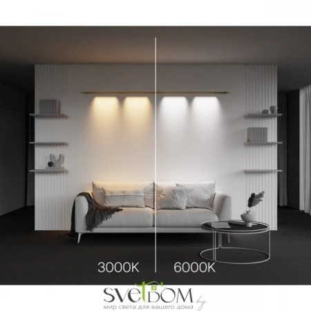 Светильники Maytoni C101CL-L1000-24W3-6K-BS от Магазина Svetdom.by