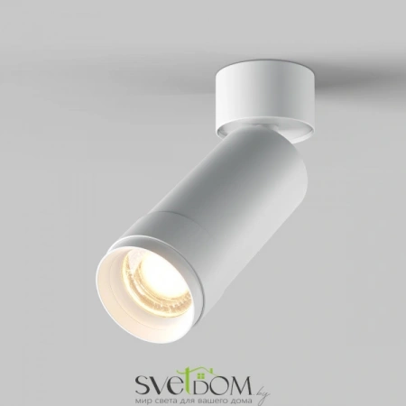 Потолочные светильники Maytoni C055CL-L12W3K-Z-W от Магазина Svetdom.by