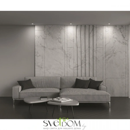 Встраиваемые светильники Maytoni DL049-01W от Магазина Svetdom.by