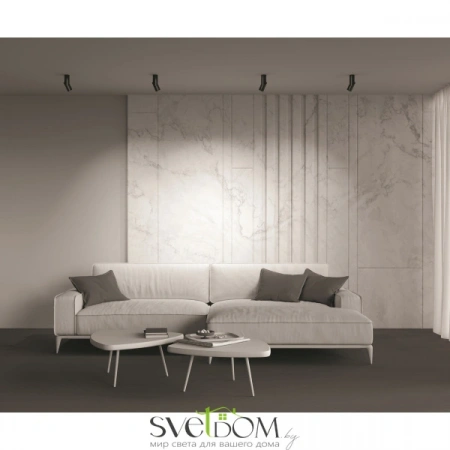 Потолочные светильники Maytoni C027CL-L10B от Магазина Svetdom.by