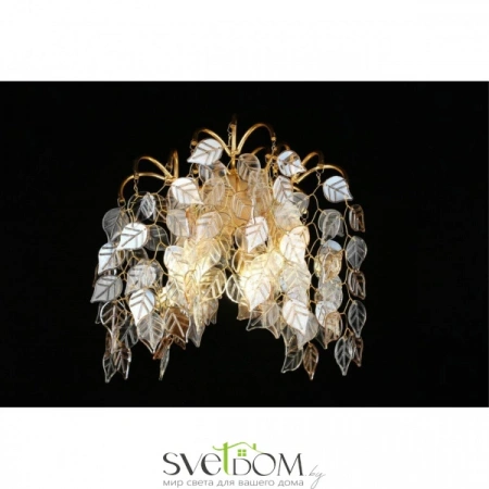 Настенные светильники APL.850.01.03 Aployt | Svetdom.by