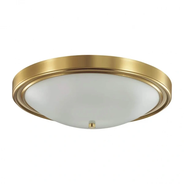 Настенно-потолочные светильники LUMION 5259/4C от Магазина Svetdom.by