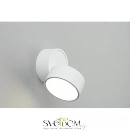 Накладные светильники Omnilux OML-101309-12 от Магазина Svetdom.by