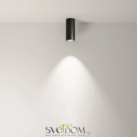 Потолочные светильники Maytoni C056CL-L12B4K-W-D-B от Магазина Svetdom.by