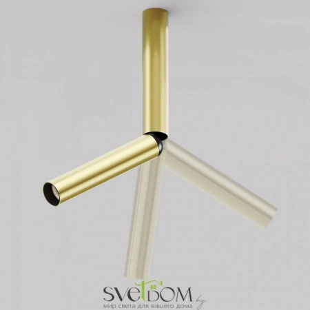 Потолочные светильники Maytoni C142CL-6W3K-BS от Магазина Svetdom.by