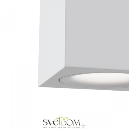 Потолочные светильники Maytoni C013CL-01W от Магазина Svetdom.by