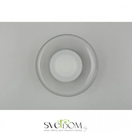 Настенные светильники APL.341.11.06 Aployt | Svetdom.by