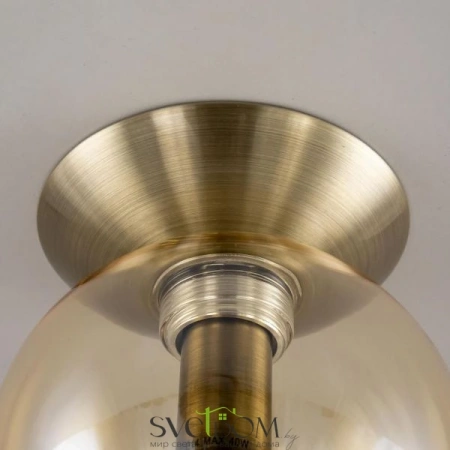 Накладные светильники CITILUX CL102513 от Магазина Svetdom.by